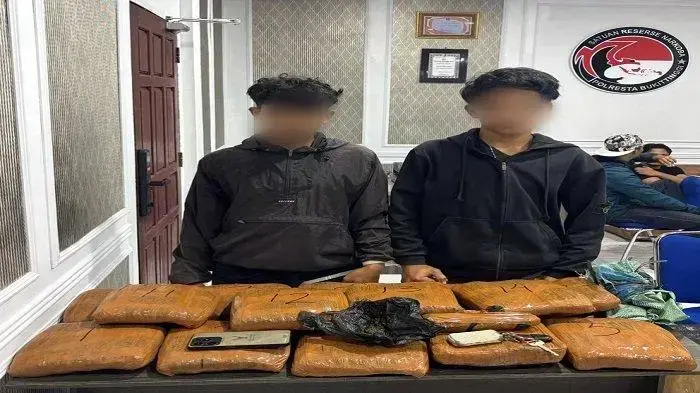 2 Kurir Kedapatan Bawa 14 Paket Besar Ganja 1 GANJA— Pelaku IP dan AD yang kedapatan membawa 14 paket besar ganja diamankan jajaran Satresnarkoba Polresta Bukittinggi.