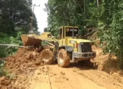 PT BRM Telah Menyerahkan Biaya dan Lahan Pembuatan Kebun Sawit, Namun Jumlah Lahan masih Belum Sesuai dengan Perjanjian