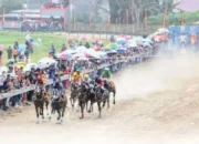 Bukittinggi dan Agam Siap Gelar Pacu Kuda Bersama, Targetkan Dongkrak Pariwisata dan Ekonomi