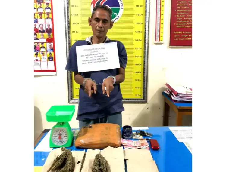 JUAL GANJA– Pelaku DH (46) bersama barang bukti ganja diamankan di Mapolres Tanahdatar.