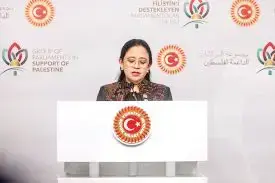 Wujudkan Kemerdekaan Palestina, Ketua DPR RI Puan Maharani Desak Gencatan Senjata di Gaza 1 DUKUNG PALESTINA—Ketua DPR RI Puan Maharani saat di Istanbul, Turki.