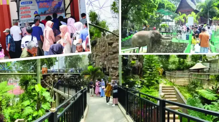 TMSBK Kinantan Diserbu Ribuan Wisatawan Selama Libur Lebaran 1 OBJEK WISATA— Kebun Binatang atau Taman Marga Satwa dan Budaya (TMSBK) Kinantan ramai dikunjungi wisatawan saat libur Idul Fitri.
Objek wisata utama Kota Bukittinggi, ini tetap menjadi pilihan utama saat lebaran.
