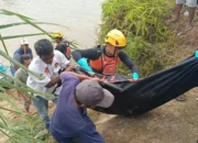 Diterkam Buaya, Pahrizi Ditemukan Tewas Mengapung, Tubuhnya Tercabik-cabik