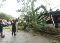 Badai dan Hujan Deras Landa Padang, 5 Pohon Tumbang, Warga Diingatkan Jangan Berteduh di Bawah Pohon Besar dan Papan Reklame 11 Badai dan Hujan Deras Landa Padang, 5 Pohon Tumbang, Warga Diingatkan Jangan Berteduh di Bawah Pohon Besar dan Papan Reklame