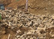 Penetapan sebagai Cagar Budaya Tidak Tepat, Batu Andesit di Korong Surantih Lubuk Alung Terbentuk Alami