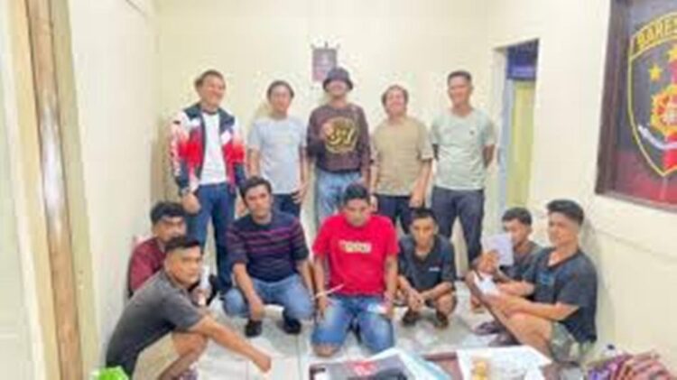 Kuli Bongkar dan Karyawan Gudang Embat 60 Karung Pakan Ayam, Majikannya Rugi Rp 20 Juta 1 Curi Pakan Ayam majikan