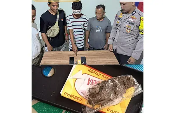 Pelajar SMA Kedapatan Bawa Ganja ke Sekolah 1 PELAJAR DITANGKAP— Pelaku DYS (18) yang kedapatan membawa ganja ke sekolah diamankan jajaran Polsek Siberut.