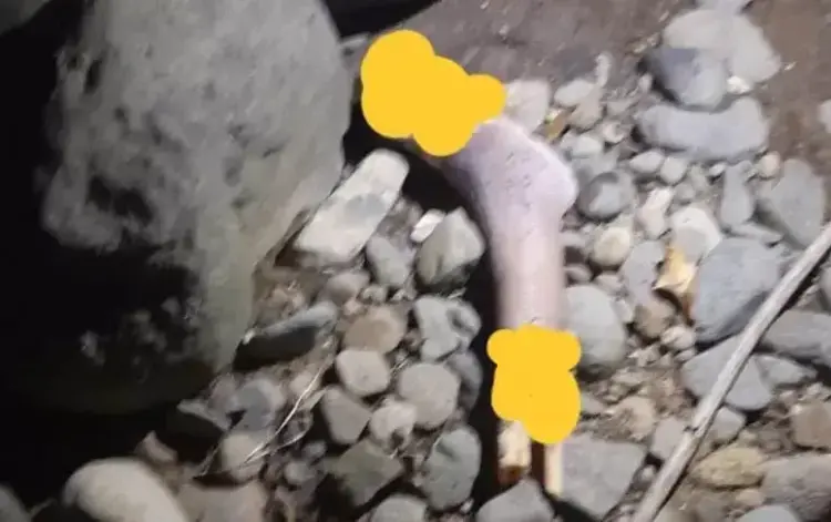 Geger! Potongan Kaki Manusia Ditemukan di Pinggir Sungai 1 Kaki Manusia Ditemukan di Kota Padang beda dengan pasbar yah