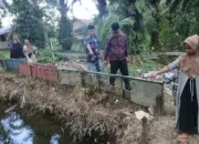 Bupati Yulianto Sambangi Rumah Duka Dua Balita, Korban Tenggelam di Gunung Tuleh Muaro Kiawai