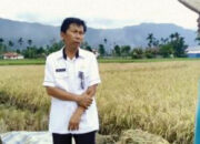 Kuota Pupuk Subsidi Agam 2025 Capai 23.625 Ton