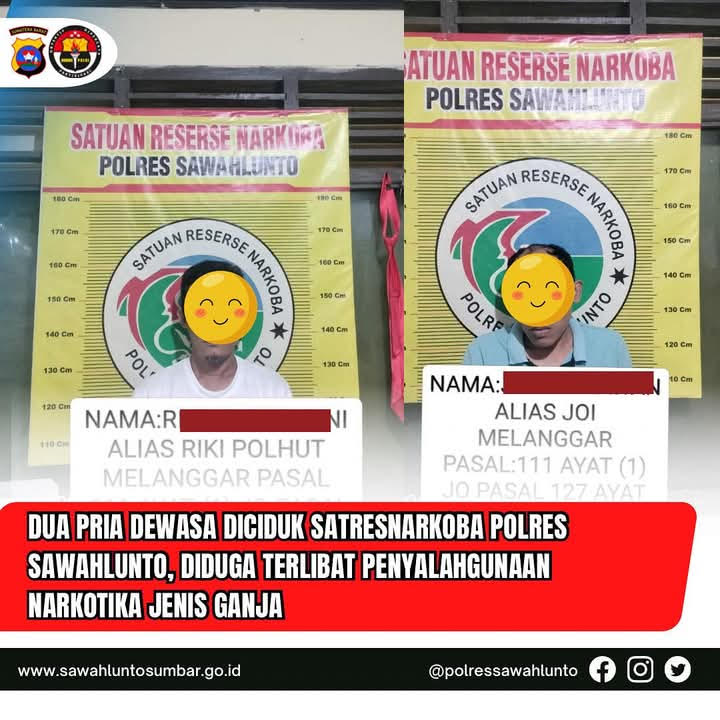 GANJA— Dua pelaku berinisial RH dan JP ditangkap jajaran Satresnarkoba Polres 
Sawahlunto dengan barang bukti ganja.