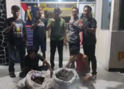 Bobol Gudang, Dua Sekawan Embat Getah Gambir