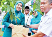 Peringati HKG PKK ke 53, TP PKK Agam Canangkan BBD-BBGRM