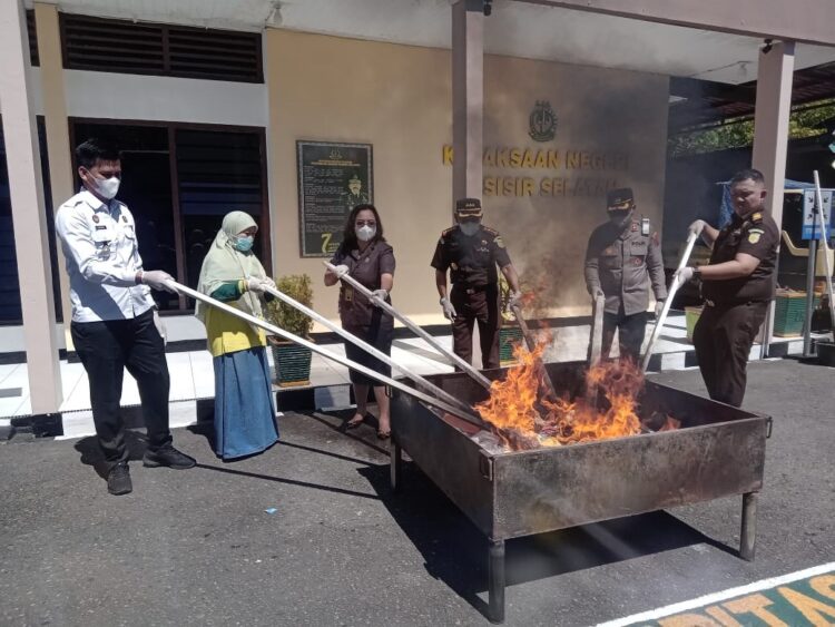 Kejari Pessel Bersama Forkopimda Musnahkan BB Tindak Pidana Umum, Ratusan Gram Sabu dan Daun Ganja Kering Dibakar 1 BAKAR—Kepala Kejaksaan Negeri Pesisit Selatan Muhammad Jafli, S.H, M.H pimpin pemusnahan BB narkoba dengan cara membakar.