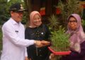 Wali Kota Serahkan Bantuan Bibit Tanaman kepada KWT 10 Wali Kota Serahkan Bantuan Bibit Tanaman kepada KWT