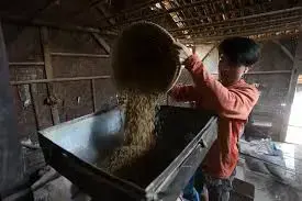 Serapan Gabah Petani Tembus 2 Juta Ton, Stok Beras di Bulog Lampaui 3,6 Juta Ton 1 downloadgddg