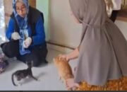 Hingga Mei 2025, Tercatat Lima Kasus Gigitan Hewan Penular Rabies