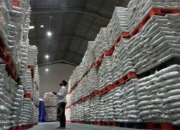 Stok Cadangan Beras di Bulog saat Ini Capai 4 Juta Ton