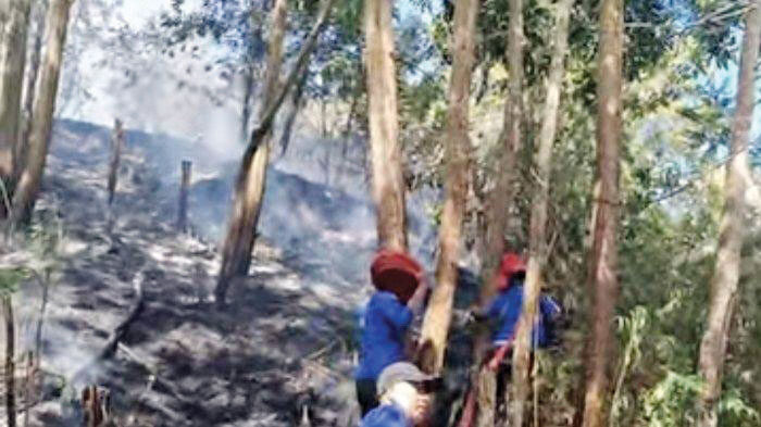 8 Hektare Lahan Produktif Hangus Terbakar 1 KEBAKARAN LAHAN— Petugas Damkar melakukan penyemprotan air untuk memadampak kebakaran lahan
di Nagari Aripan, Kecamatan X Koto Singkarak.