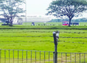 Wamenag Prihatin Atas Teror Bom Pesawat Saudia Airlines, Minta Polisi Tangkap Pelakunya