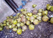 Polri Bongkar Pengoplosan Gas Subsidi di Bogor, Ketua DPR Minta Pemerintah Perketat Pengawasan Lintas Sektor