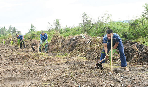 Sinergi Ketahanan Pangan di Sumbar, Lanud SUT Sjahrir Tanam 500 Kelapa Hibrida Bersama BUMN 1 PENANAMAN KELAPA HIBRIDA— Danlanud SUT Kolonel Nav Sani Salman Nuryadin, bersama jajaran Forkopimda, PLN, dan Bank Nagari melakukan penanaman 500 kelapa hibrida, di kawasan Lanud Sutan Sjahrir, Kota Padang, Selasa (17/6).