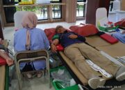 PLN UID Sumbar dan PMI Gelar Aksi Donor Darah, 132 Kantong untuk Kemanusiaan Terkumpul