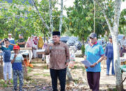 Bupati Hadiri Qurban dan Silaturahmi Alumni PGAN di Surau Ka’bah