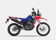 Hadirkan Sensasi Petualangan Baru, CRF250 Series Siap Jelajahi Indonesia