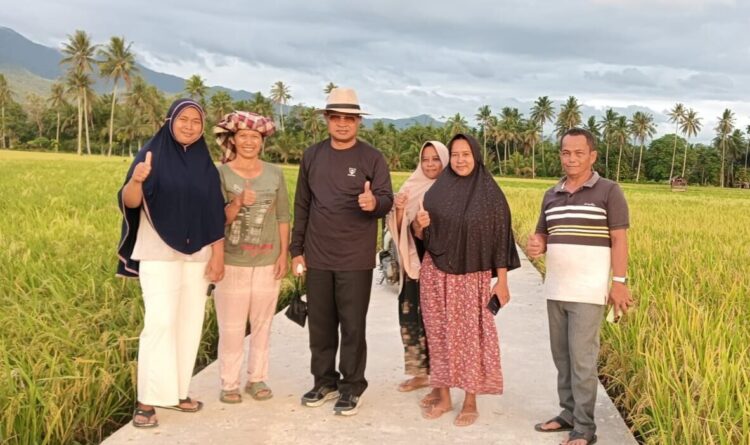 Wujudkan Swasembada Pangan, Khairuddin Simanjuntak Kebut Pembangunan JUT di Pasaman 1 TINJAU LOKASI--Ketua Komisi II DPRD Provinsi Sumatra Barat Khairuddin Simanjuntak turun ke daerah pemilihnya di Kabupaten Pasaman meninjau lokasi rencana pembangunan jalan lingkungan, jalan pertanian, jalan perikanan dan jalan perkebunan, di Nagari Tarung-Tarung Selatan, Kecamatan Rao, Pasaman, Sabtu 7 Juni 2025.