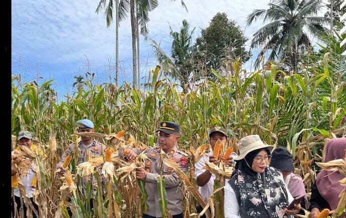 Dukung Ketahanan Pangan, Kapolsek Lusi Ajak Masyarakat Manfaafkan Lahan Pekarangan 1 Kapolsek Lusi Ajak Masyarakat Manfaafkan Lahan Pekarangan Dukung Ketahanan Pangan