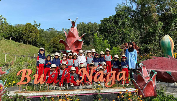Wisata Edukatif, Kebun Buah Kandi Siap Terima Kunjungan Pelajar 1 WISATA EDUKATIF— Murid-murid dan majelis guru dari TK Nurul Huda Silungkang Oso, Kota Sawahlunto mengunjungi objek wisata Kebun Buah Kandi.