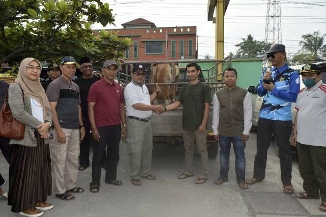 Kemenag Kabupaten Limapuluh Kota, Distribusikan Hewan Kurban ke Daerah Terluar 1 PENDISTRIBUSIAN SAPI KURBAN— Kemenag Kabupaten Limapuluh Kota, menyerahkan 2 sapi kurban untuk didistribusikan ke dua daerah terluar, yaitu Jorong Koto Marapak, Nagari Pandam Gadang, Kecamatan Gunuang Omeh, dan Jorong Sungai Ipuah, Nagari Sitanang, Kecamatan Lareh Sago Halaban, Minggu (8/6)