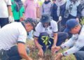 Libatkan Seluruh Pegawai dan PHL, DLH Gelar Goro dan Tanam Pohon 9 Libatkan Seluruh Pegawai dan PHL, DLH Gelar Goro dan Tanam Pohon