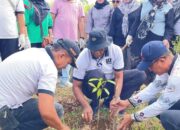 Libatkan Seluruh Pegawai dan PHL, DLH Gelar Goro dan Tanam Pohon