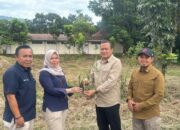 Kolaborasi PT Semen Padang dan Kwarda Sumbar;  50 Ribu Kaliandra Ditanam untuk Energi Hijau