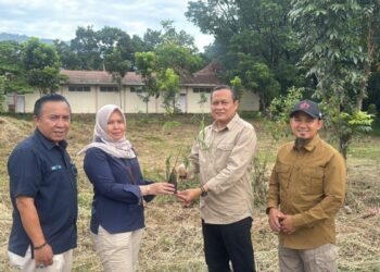 Kolaborasi PT Semen Padang dan Kwarda Sumbar;  50 Ribu Kaliandra Ditanam untuk Energi Hijau