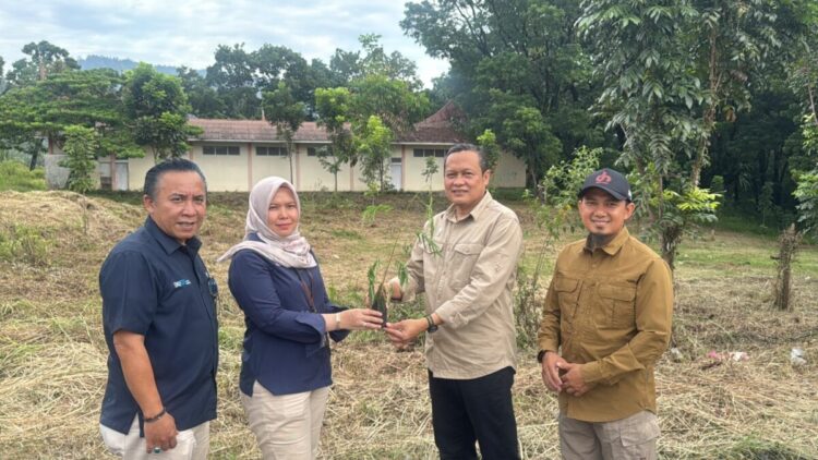 Kolaborasi PT Semen Padang dan Kwarda Sumbar; 50 Ribu Kaliandra Ditanam untuk Energi Hijau 1 PENYERAHAN BIBIT KALIANDRA— Kepala Kasi Keuangan dan Umum Unit CSR PT Semen Padang Nila Puspa Reni, menyerahkan bibit Kaliandra Merah kepada Ketua Harian Kwarda Sumbar Yulius beberapa waktu lalu. Tanaman Kaliandra itu akan ditanam di lahan Lemdadika Padang Besi dengan jumlah 50 ribu bibit.