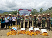 Dukung Swasembada Pangan, Polda Sumbar Panen 75,7 Ton Jagung