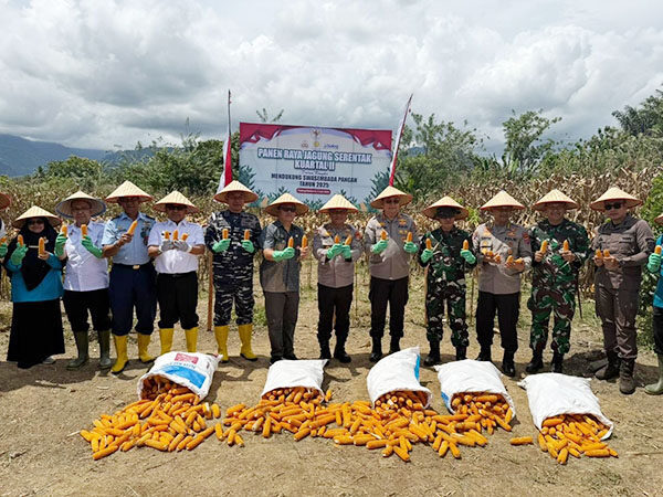 Dukung Swasembada Pangan, Polda Sumbar Panen 75,7 Ton Jagung 1 PANEN--Kapolda Sumbar Irjen Pol Gatot Tri Suryanta bersama Forkopimda melaksanakan panen jagung di Kecamatan Batang Anai, Kabupaten Padangpariaman.