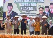 Wali Kota Sawahlunto Dampingi Kapolres, Panen Raya Jagung Serentak Kuartal II