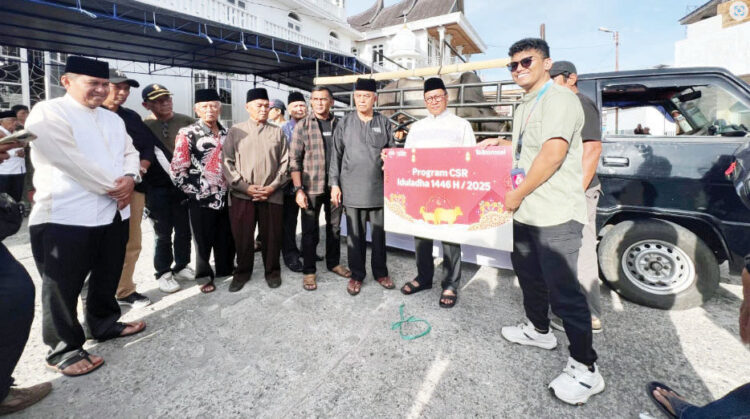 BANTUAN SAPI QURBAN— Pemerintah Kota Bukittinggi menerima bantuan satu ekor sapi kurban dari dana Corporate Social Responsibility (CSR) Telkomsel Bukittinggi pada momentum Idul Adha 1446 Hijriah, Jumat (6/6).