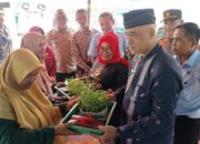 Gerakan Menanam Cabai, Masyarakat Diajak Manfaatkan Lahan