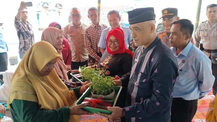 Gerakan Menanam Cabai, Masyarakat Diajak Manfaatkan Lahan 1 BANTUAN BIBIT CABAI— Staf Ahli Bupati Solok Bidang Ekonomi dan Pembangunan, Eva Nasri menyerahkan bantuan
bibit cabai untuk Kelompok Wanita Tani (KWT).