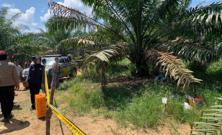 Ngeri! 2 Wanita Tewas Dibunuh di Bawah Pohon Sawit, Ada Luka Robek di Kepala, Pemicunya Diduga Persoalan Utang 1 PEMBUNUHAN— Dua wanita pekerja perkebunan sawit ditemukan tewas di areal PT BPSJ SS 1 Madiak, Jorong Pasar Baru, Nagari Abai, Kecamatan Sangir Batang Hari, Kabupaten Solok Selatan.