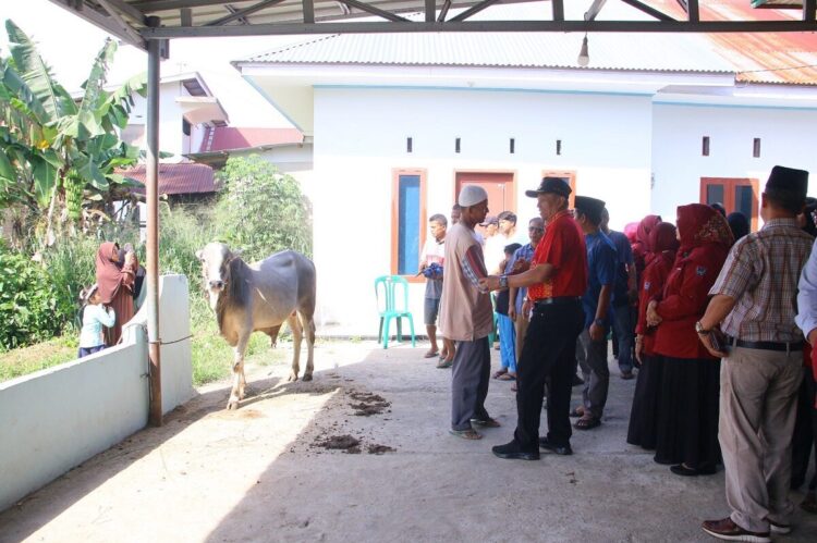 Indo Jalito Salurkan Hewan Kurban di Payakumbuh 1 SERAHKAN HEWAN KURBAN— Wakil Wali Kota Payakumbuh Elzadaswarman bersama pengurus Indo Jalito, menyerahkan hewan kurban kepada pengurus ke Mushala Nurul Iman, Kelurahan Talang, Kecamatan Payakumbuh Barat, Minggu (8/6).