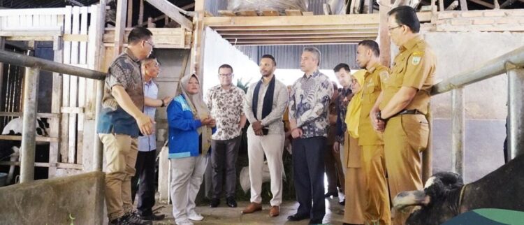 Dubes Selandia Baru Puji Pengelolaan Sapi Perah di Padang Panjang 1 KUNJUNGI PETERNAKAN SAPI PERAH— Duta Besar Selandia Baru, Phillip Taula bersama Presiden Direktur PT. Fonterra Brand Indonesia, Yauwanan Wigneswaran kunjungi peternakan sapi perah Padang Panjang, Selasa (24/6).