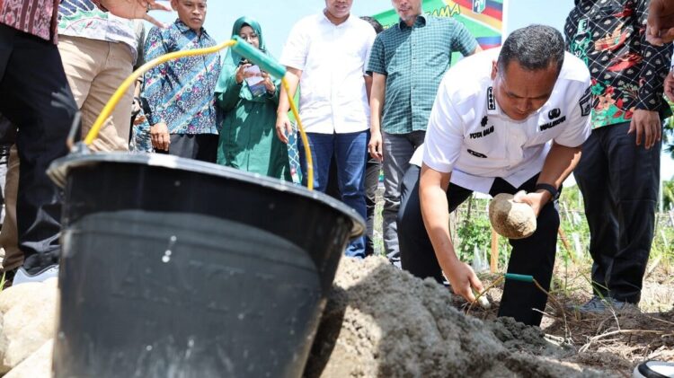 Pembangunan Wisma Insan Cita di Desa Kampung Gadang Dimulai 1 PELETAKAN BATU PERTAMA— Wali Kota Pariaman Yota Balad melakukan prosesi peletakan batu pertama pembangunan Wisma Insan Cita Pariaman di Desa Kampung Gadang Kecamatan Pariaman Timur Kota Pariaman, kemarin.