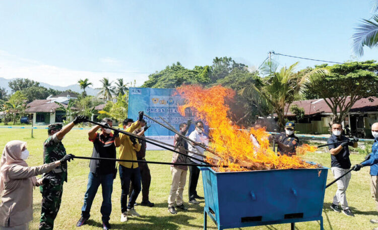PEMUSNAHAN— BNNP Sumbar melaksanakan pemunsahan barang bukti 29 Kg ganja.