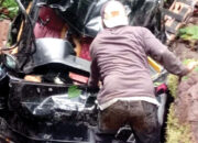 Mobil Pikap Bermuatan Kelapa Terjun ke Jurang, Dua Warga Pessel Tewas, Satu Luka Parah
